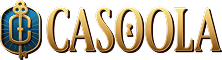 Casoola Provider